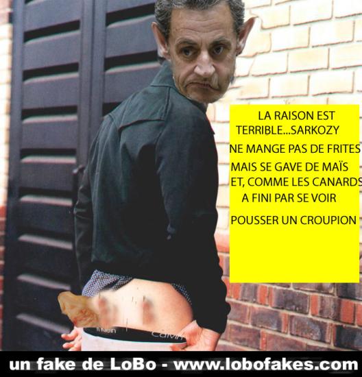 Sarkozy fesses lobo lobofakes 2 modifie 2