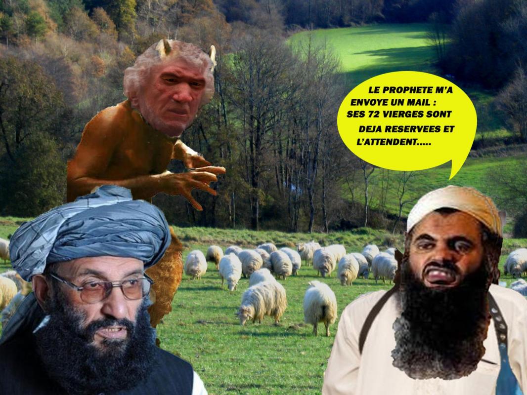 Troupeau triso barbu