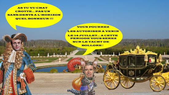 Versailles macroncopy 1